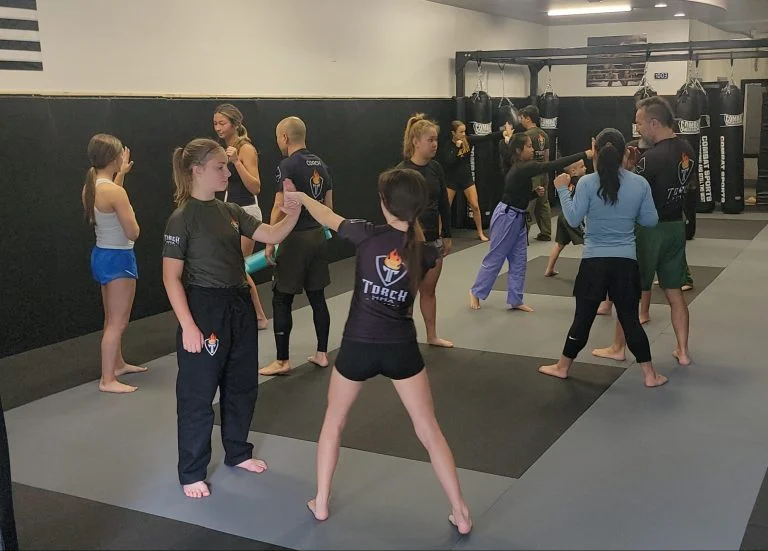 Torch MMA & Fitness academy photo