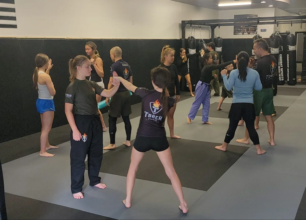 Torch MMA & Fitness academy photo