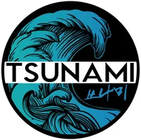 Tsunami MMA academy photo