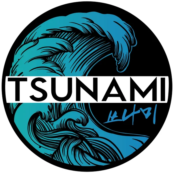 Tsunami MMA academy photo