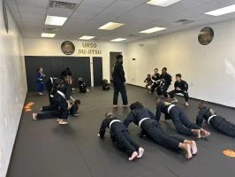 Urso Jiu Jitsu academy photo