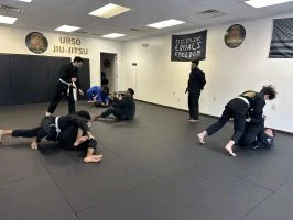 Urso Jiu Jitsu academy photo