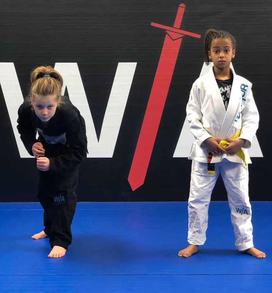 Warrior BJJ Academy academy photo