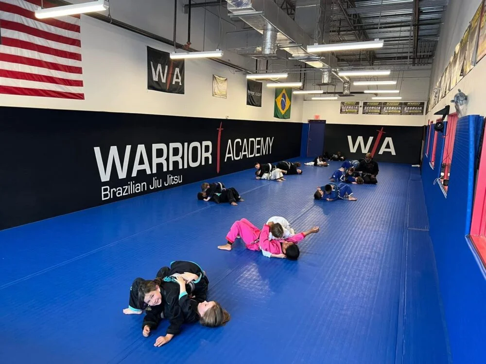 Warrior BJJ Academy academy logo