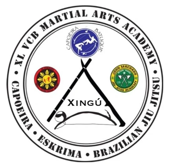 XL VCB Martial Arts Academy academy logo