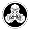 Esaki Jiu Jitsu Academy academy photo