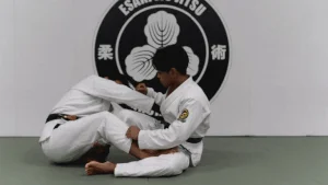 Esaki Jiu Jitsu Academy academy photo