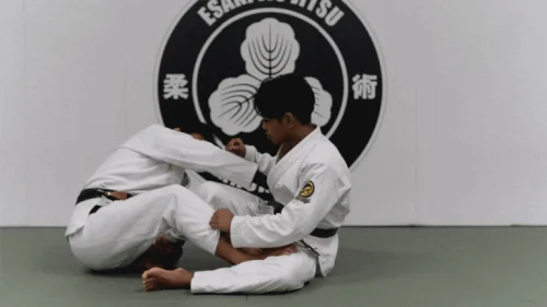 Esaki Jiu Jitsu Academy academy photo