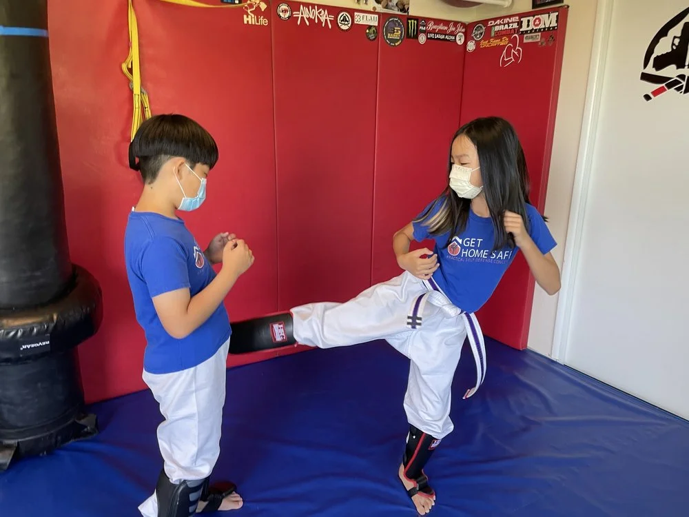 Get Home Safe: Practical Self Defense Concepts academy photo