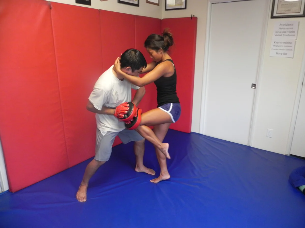 Get Home Safe: Practical Self Defense Concepts academy photo