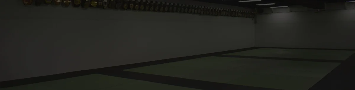 Prodigy Training Center HI academy photo