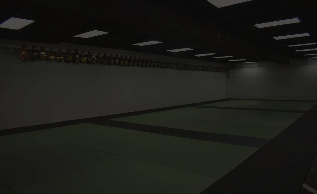 Prodigy Training Center HI academy photo