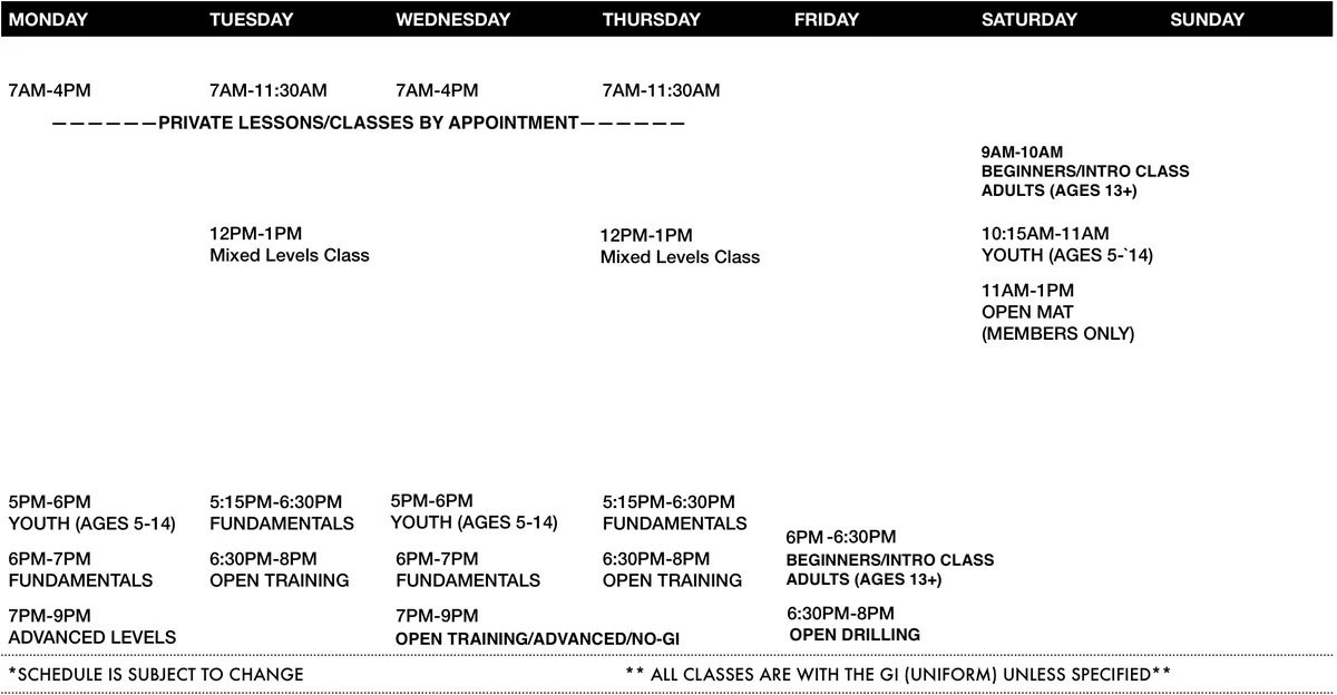 Sapateiro Jiu Jitsu Academy academy photo