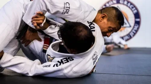 Team Papakolea Jiu-Jitsu visual