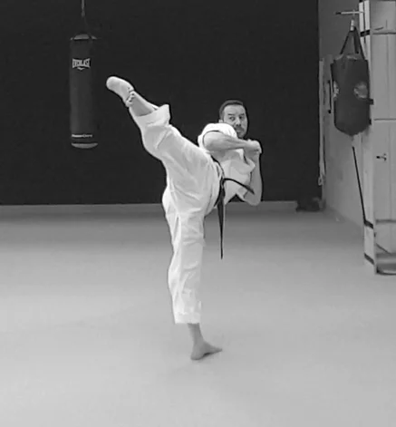 Brown's School of Martial Arts academy photo