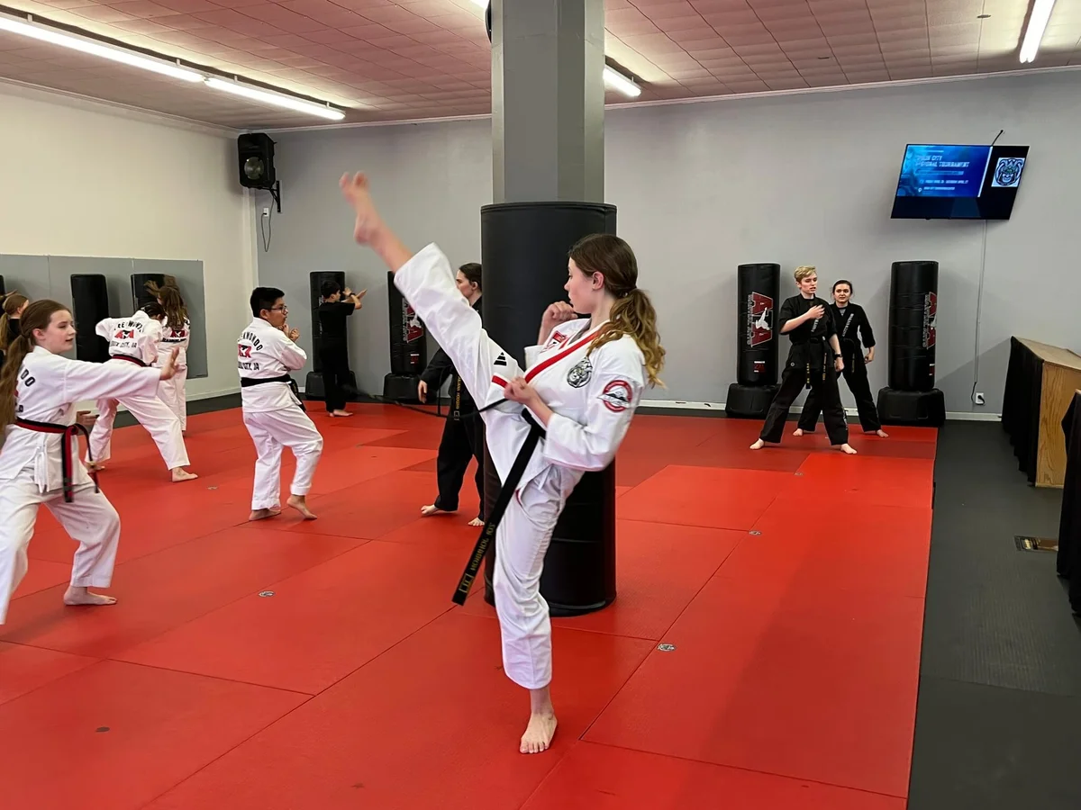 Gracie Jiu-Jitsu - Sioux City ATA visual