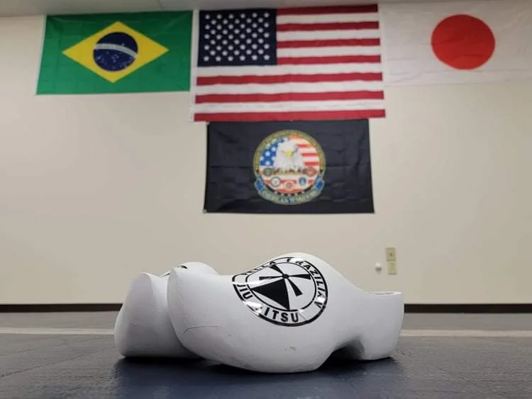 Pella Brazilian Jiu Jitsu academy photo