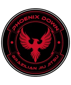Phoenix Down Brazilian Jiu Jitsu academy photo
