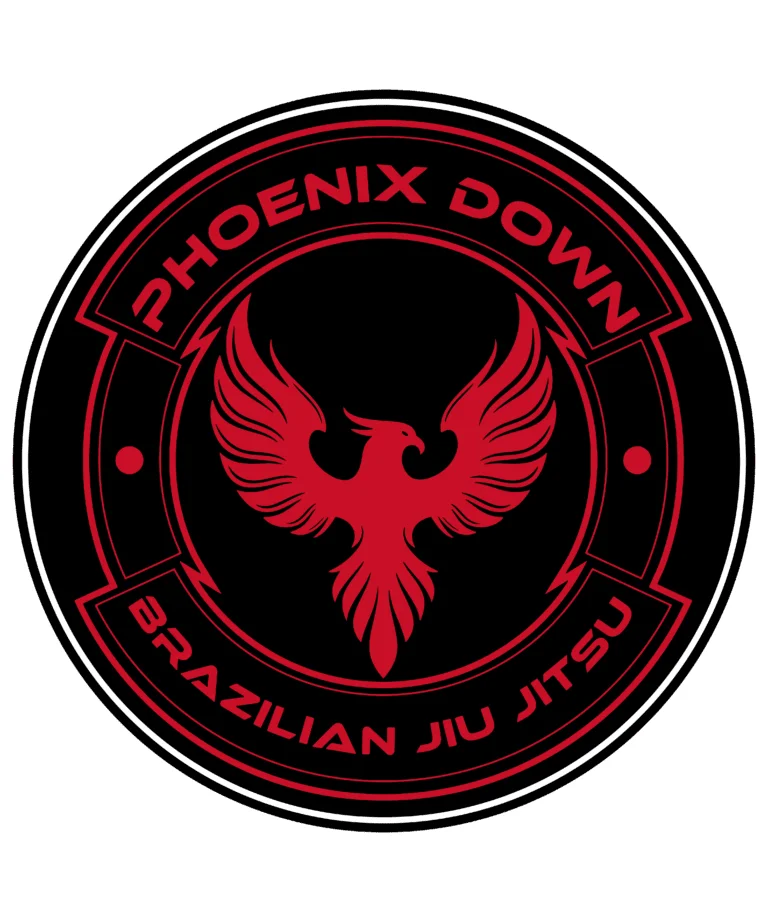 Phoenix Down Brazilian Jiu Jitsu academy photo
