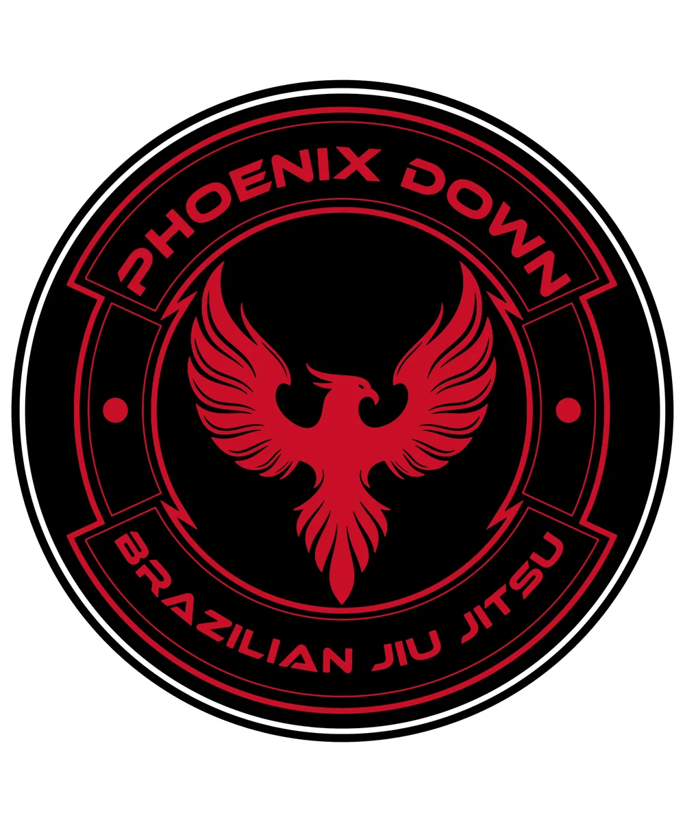Phoenix Down Brazilian Jiu Jitsu academy photo