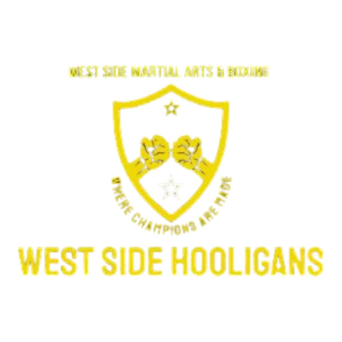 West Side Martial Arts & Boxing academy photo