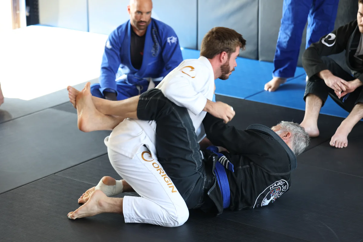 BPi Fighting Systems academy photo