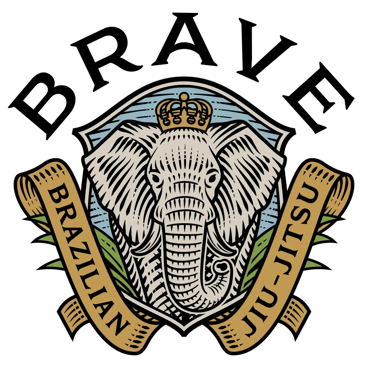 Brave BJJ academy logo
