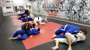 Colossal Fight Company academy photo
