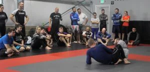 Colossal Fight Company academy photo