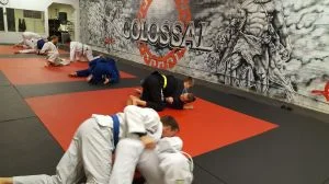 Colossal Fight Company academy photo