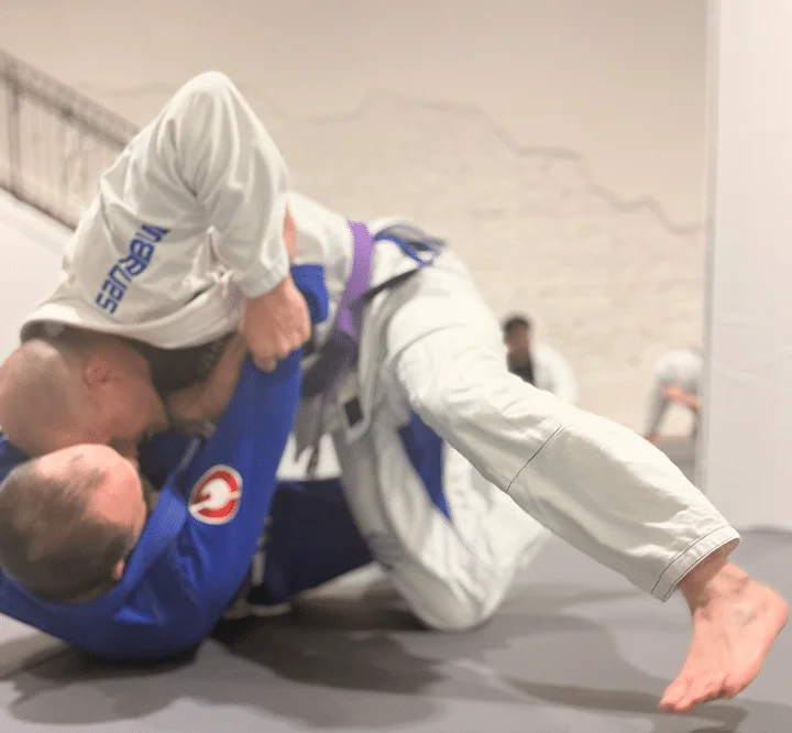 Core Jiu Jitsu visual