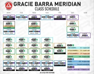 Gracie Barra Meridian academy photo