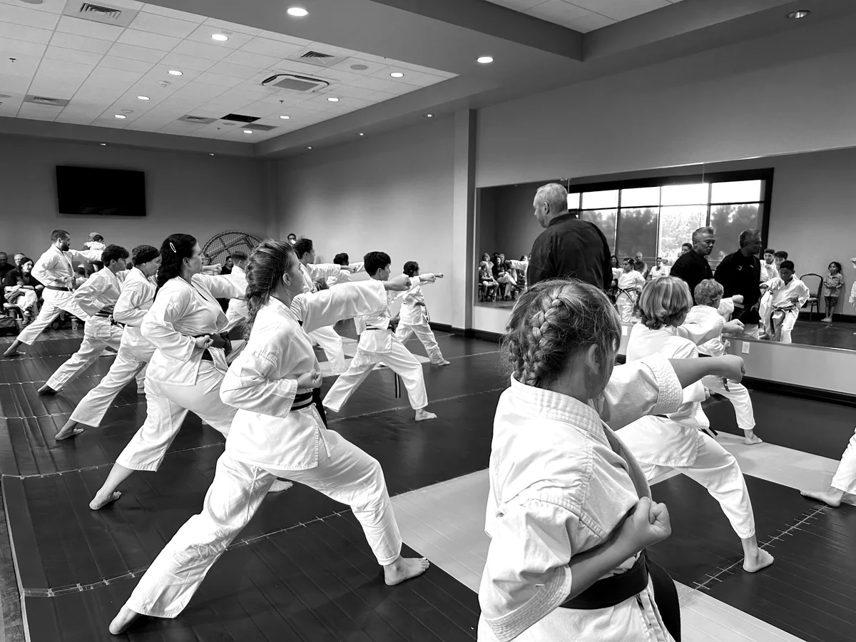 KYOSHI PON'S MARTIAL ARTS academy photo
