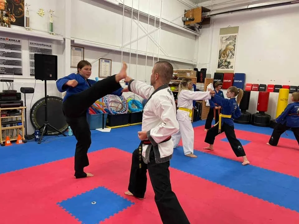 Low's Martial Arts Academy visual