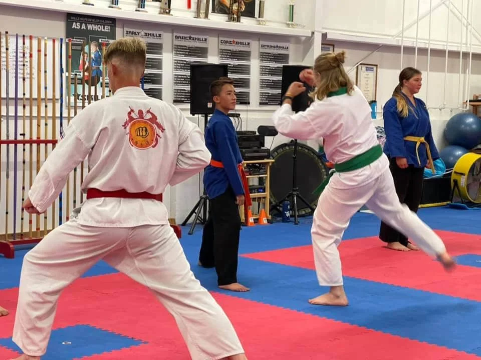 Low's Martial Arts Academy academy photo
