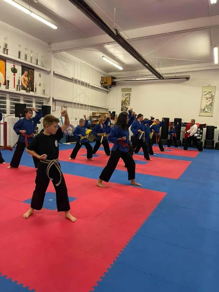 Low's Martial Arts Academy academy photo
