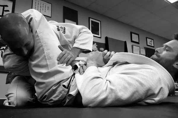 Shoshin Ryu Martial Arts visual