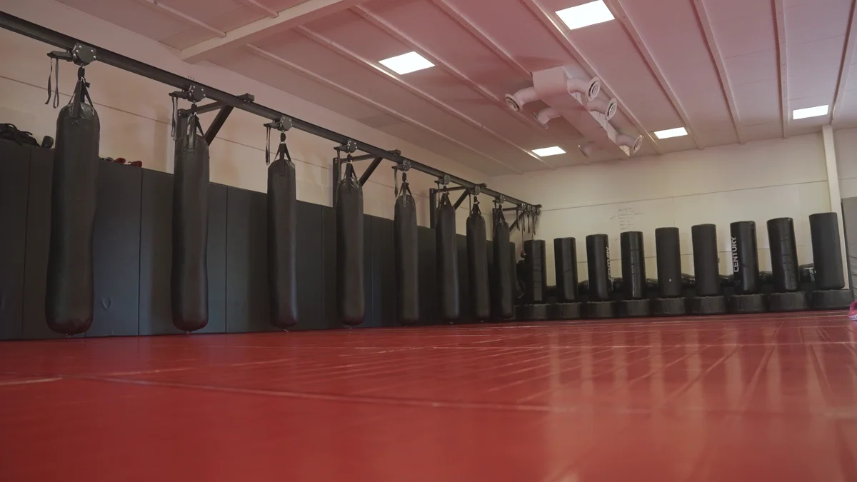 Pit Martial Arts and Fitness academy photo