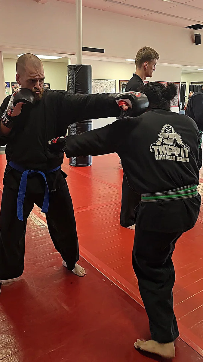 Pit Martial Arts and Fitness academy photo
