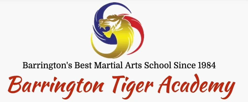 Barrington Tiger Academy academy photo