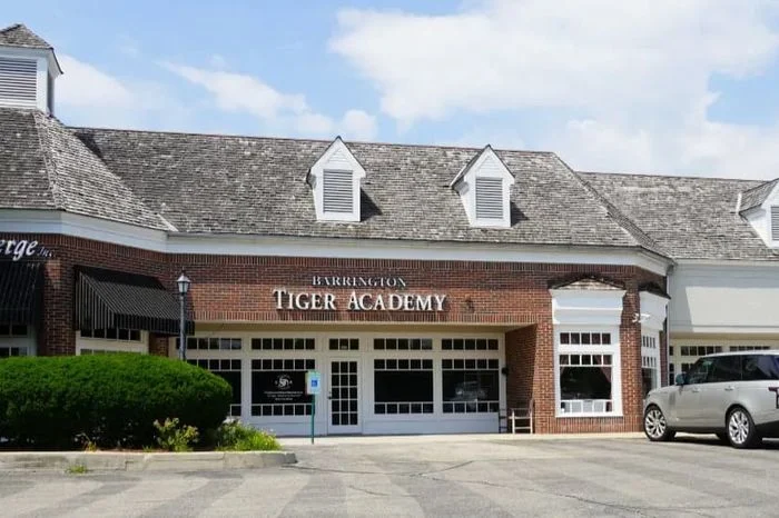 Barrington Tiger Academy academy photo
