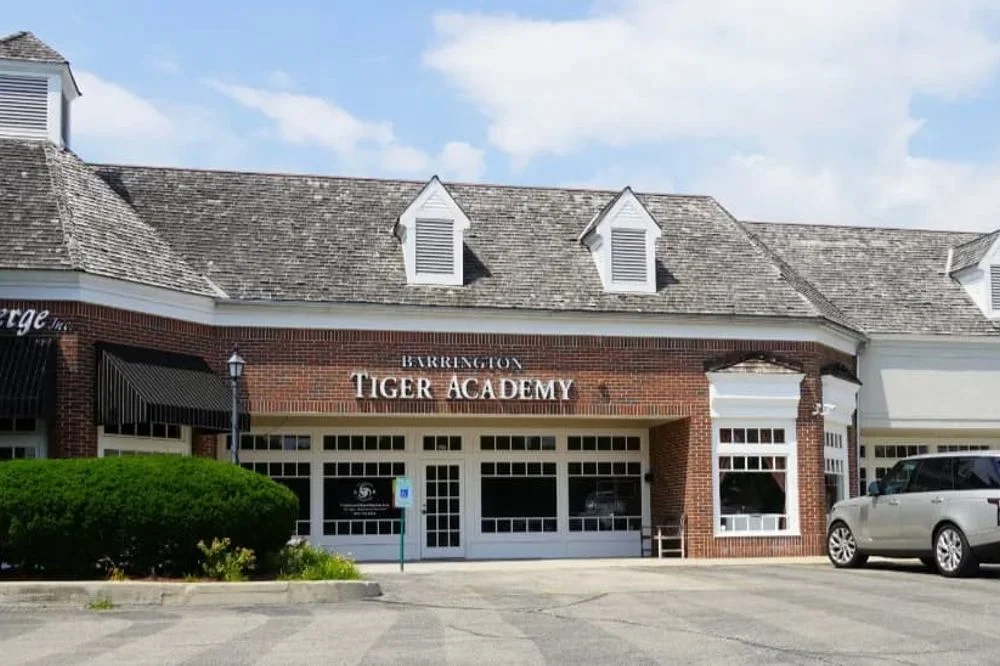 Barrington Tiger Academy academy photo