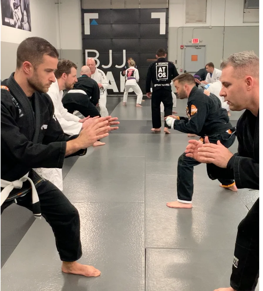 BJJ Lab Brazilian Jiu-Jitsu Academy facility image