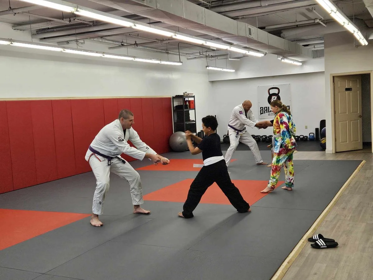 Boone County Jiu-Jitsu academy logo