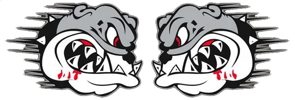 Carlson Gracie Chicago facility image