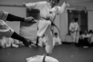Chicago Martial Arts & Brazilian Jiu-Jitsu academy photo