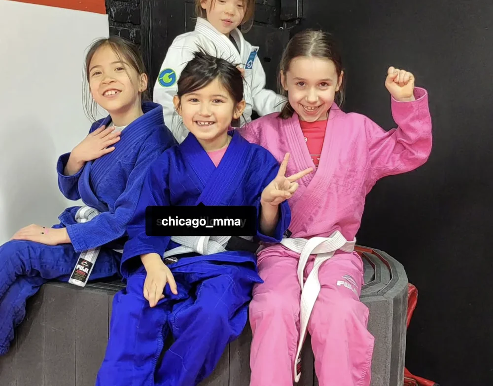 Chicago Mixed Martial Arts facility image