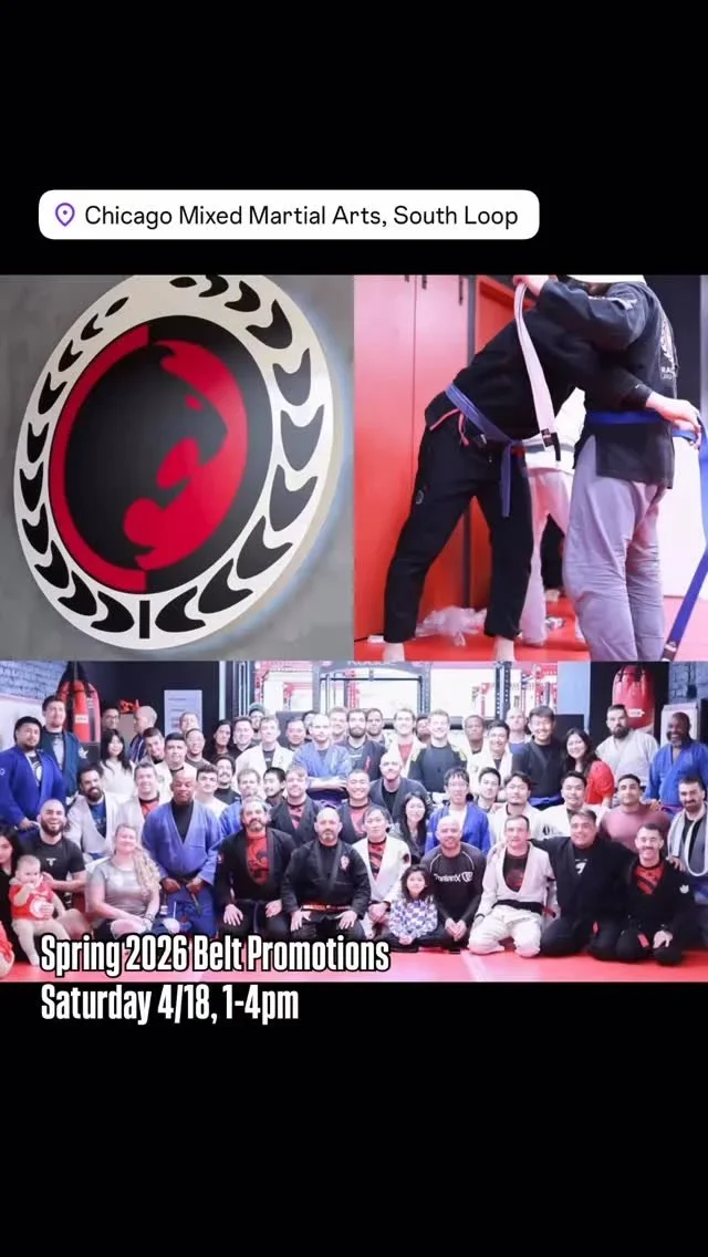 Chicago Mixed Martial Arts facility image