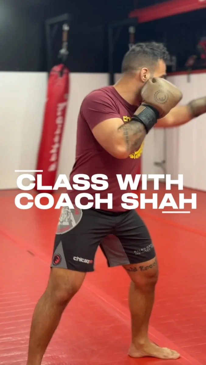 Chicago Mixed Martial Arts facility image