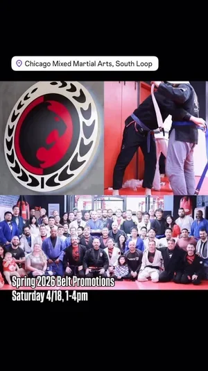 chicagomma.com (name not explicitly provided) facility image